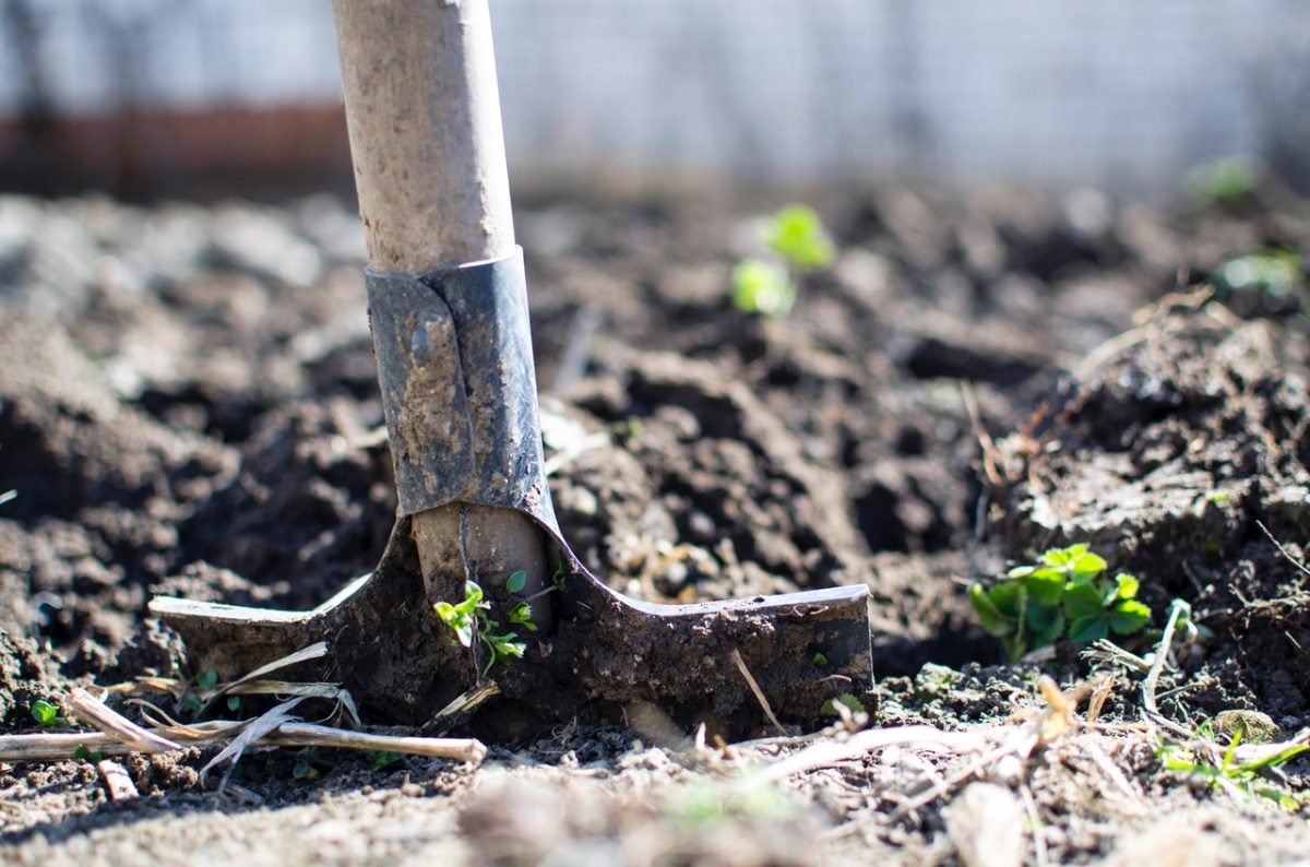 Essential Tools You Need to Create and Maintain Your Eco Garden