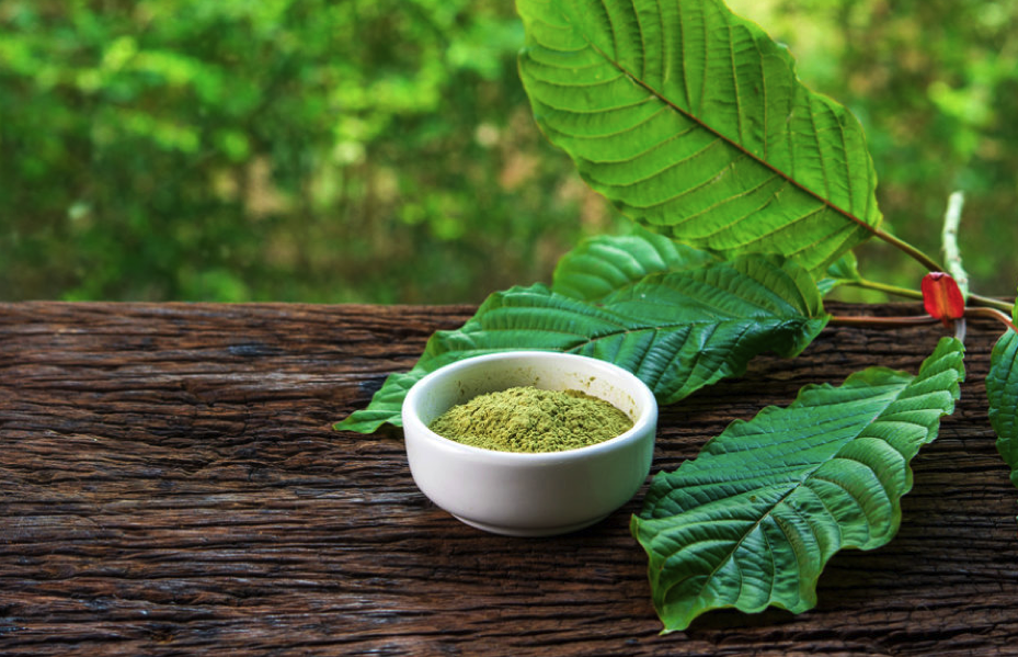 The Benefits of Kratom and Why it Matters