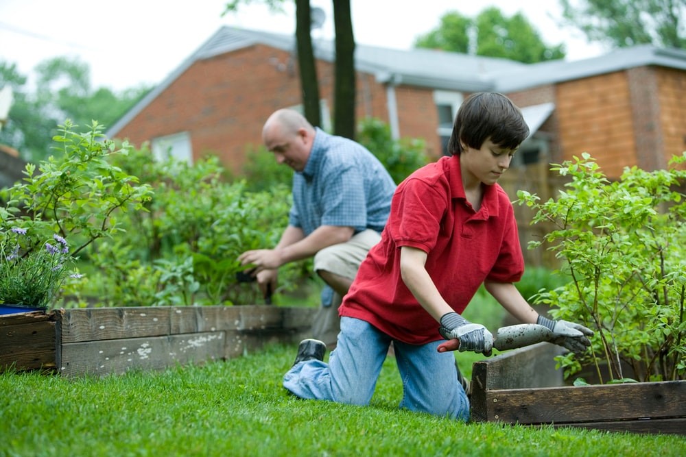 5 Perfect Tips to get an Energy-Efficient Garden