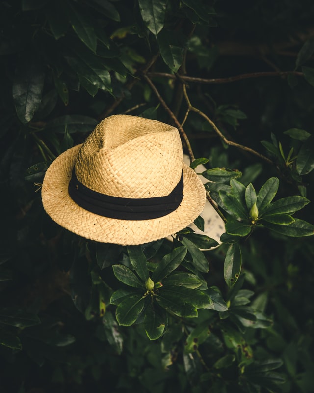 Panama straw hat