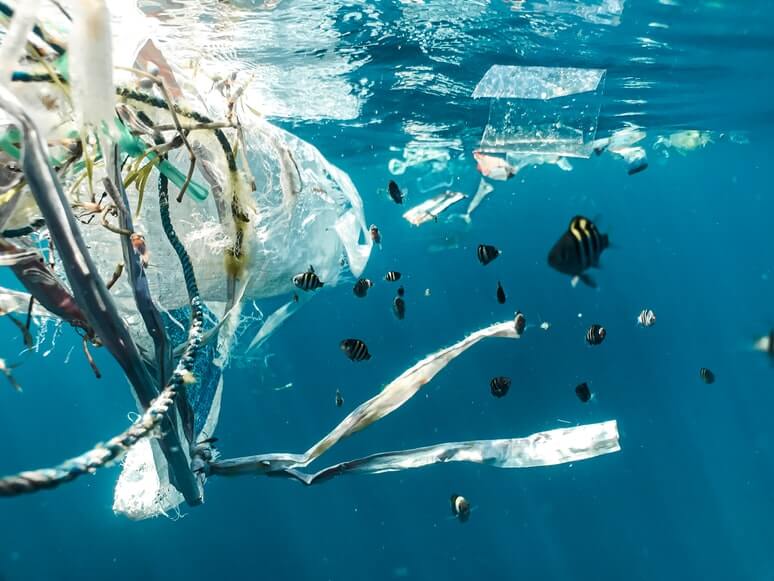 The Ugly Truth About Plastic