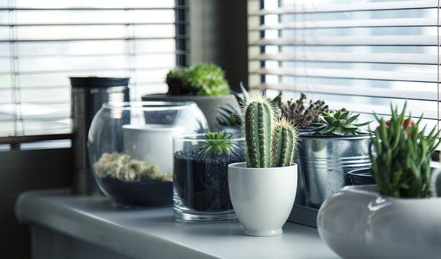 How Does an Indoor Garden Work?